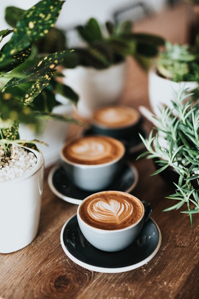 coffee dish